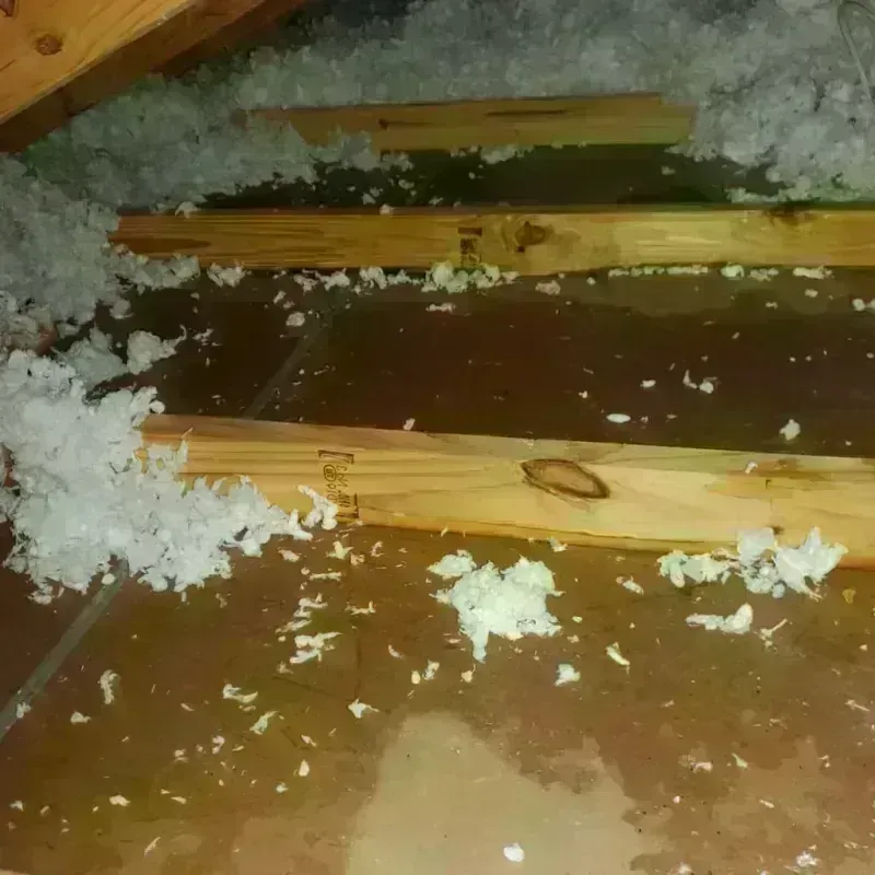 Attic Water Damage in Pleasant Hill, NC